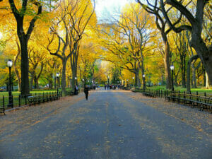 Central Park in New York