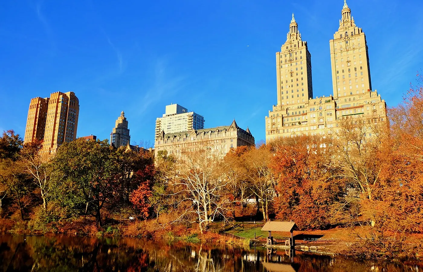 Central Park - Autumn
