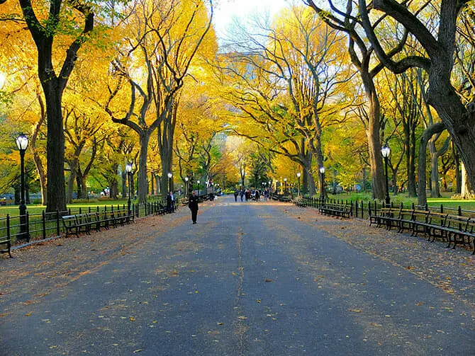 Central Park in New York