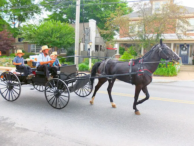 New York to Philadelphia and Amish Country Day Trip - Visit the Amish