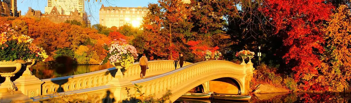 New York Events November 2026 1 What to do in New York in November 2026 - NewYork.com.au