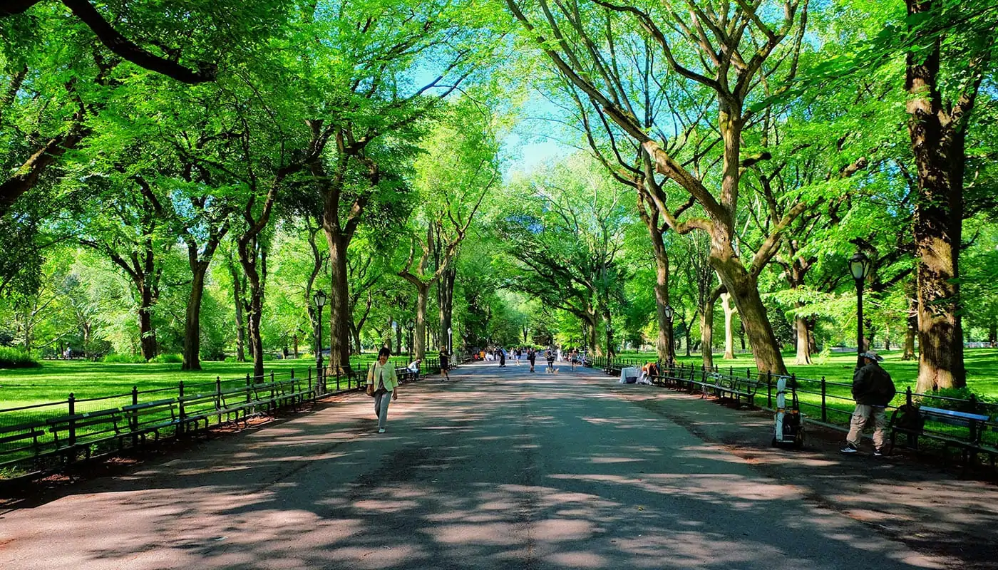 Mothers Day in New York - Central Park