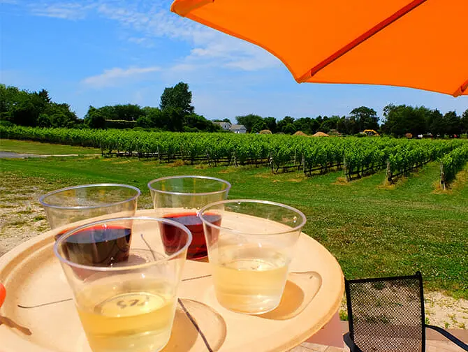 Winery Day Trip from New York - Wine tasting