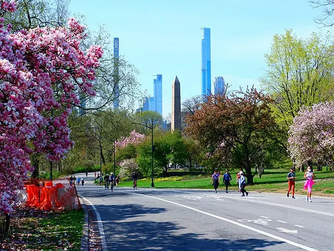 New York attraction pass - Bike