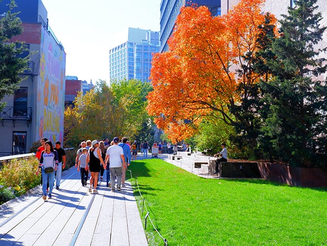 High Line Park in New York - Nature