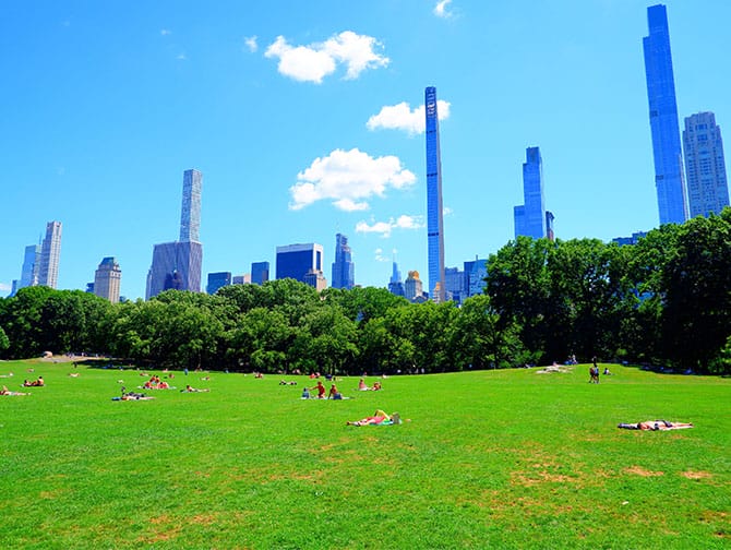 Bike Rental in New York with Picnic - Place to picnic