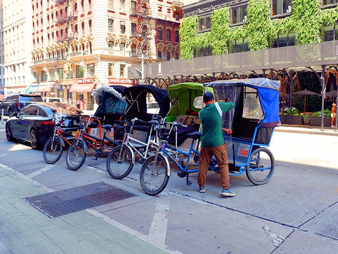 Pedicab Tour in Central Park - Rickshaws