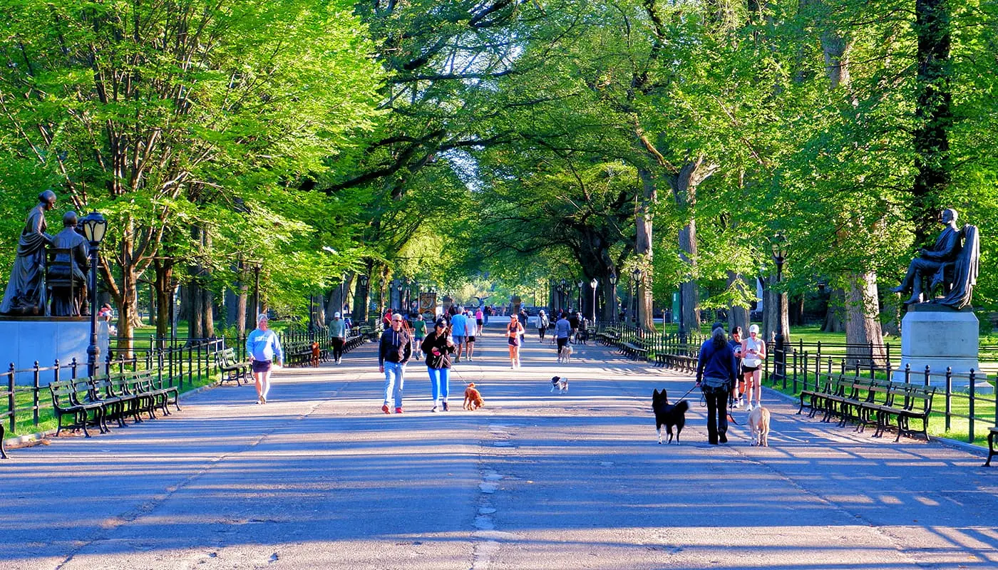 New Yorkers -People living in New York